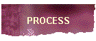 PROCESS